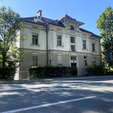 Charming Appartment 3-Min Walk To Old Town - Free Parking 卢布尔雅那 外观 照片