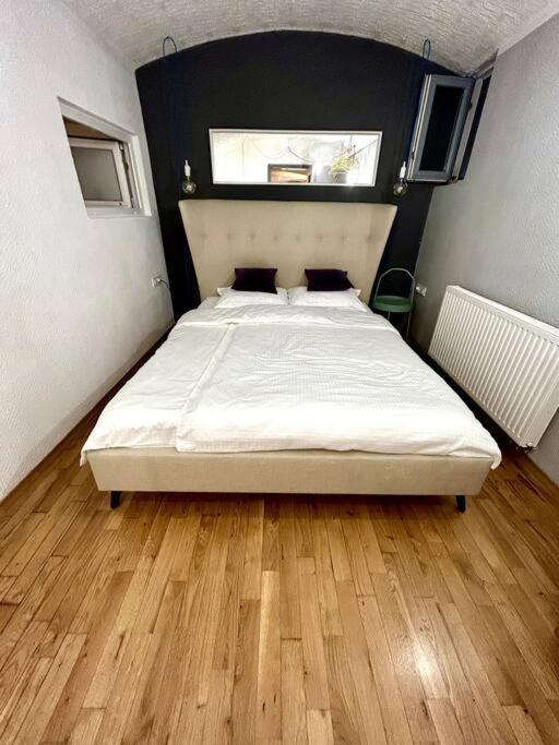 Charming Appartment 3-Min Walk To Old Town - Free Parking 卢布尔雅那 外观 照片